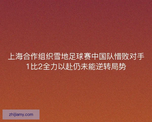 上海合作组织雪地足球赛中国队惜败对手1比2全力以赴仍未能逆转局势